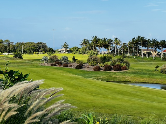 Green fairways and palm trees at Apes Hill in Barbados
