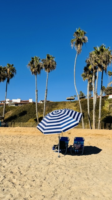 Striped beach umbrella and chairs beneath tall palm trees